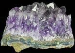 Purple Amethyst Cluster - Uruguay #66795-1
